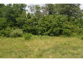 Property photo 96 - LAND AUCTION - 215+/- ACRES OFFERED IN 6 TRACTS IN VAN WERT COUNTY, OHIO